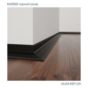 Антиплінтус Чорний алюмінієвий профіль 15х20х2000 мм RAL9005 ALUM-N1520R9005 фото
